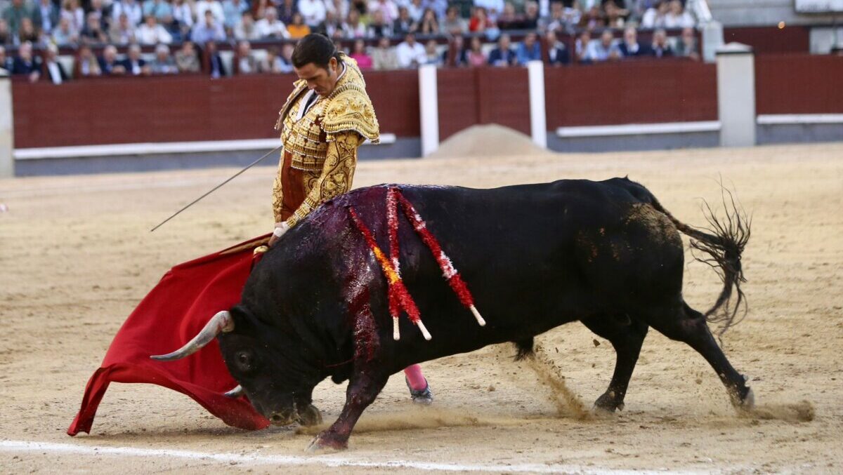 Uceda Leal perfuma Las Ventas de aroma clásico y añejo