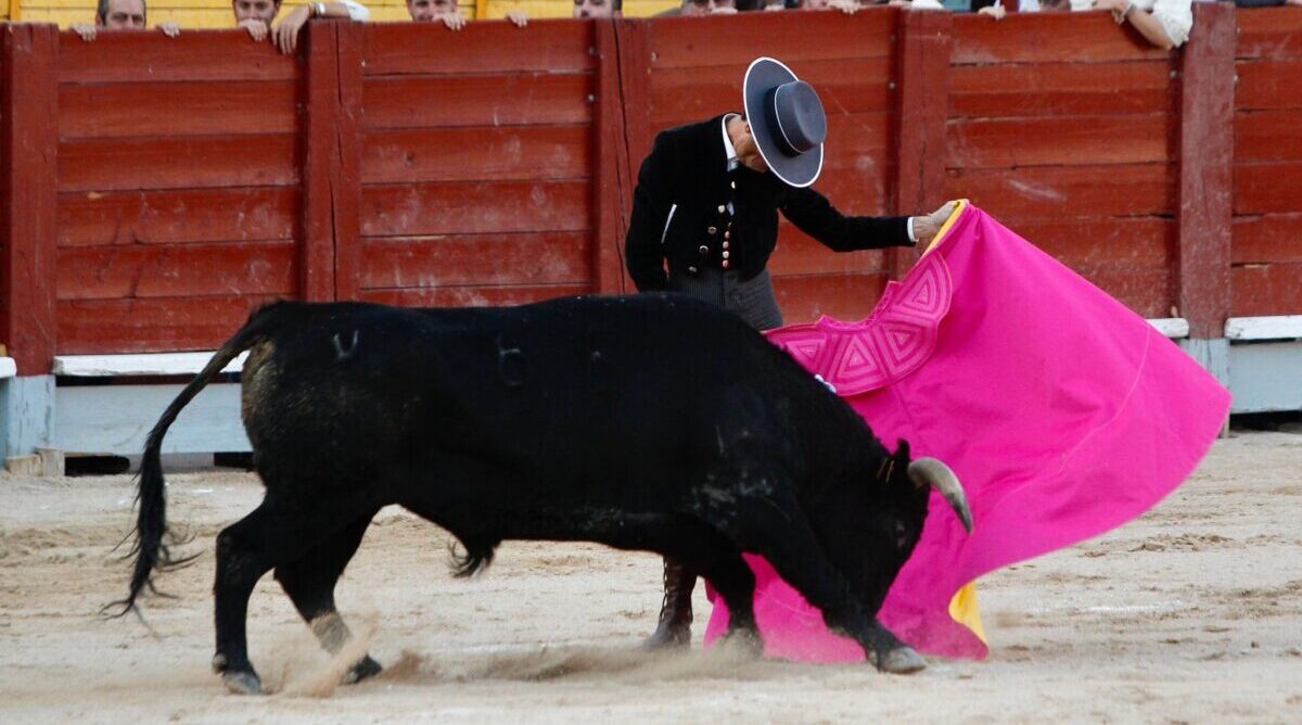Once orejas y un gran ambiente en el XCVIII festival de Chinchón