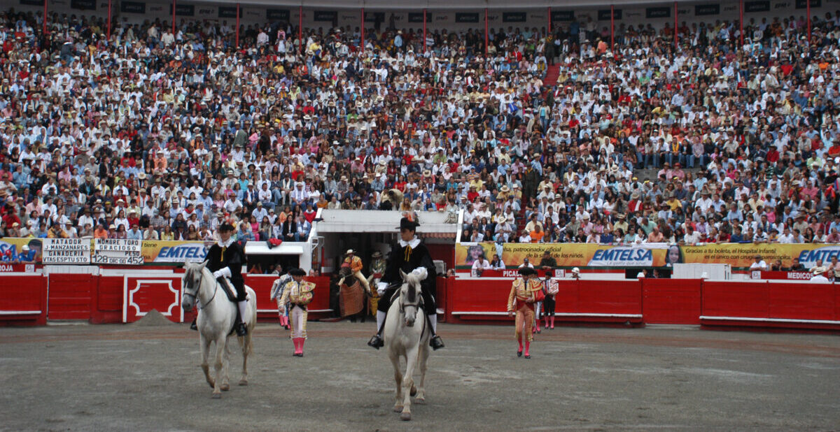 El planeta de los toros, en riesgo en América