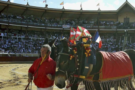 "Da rubor contemplar cómo en Francia se lucha con ahínco por algo tan español como el toreo"