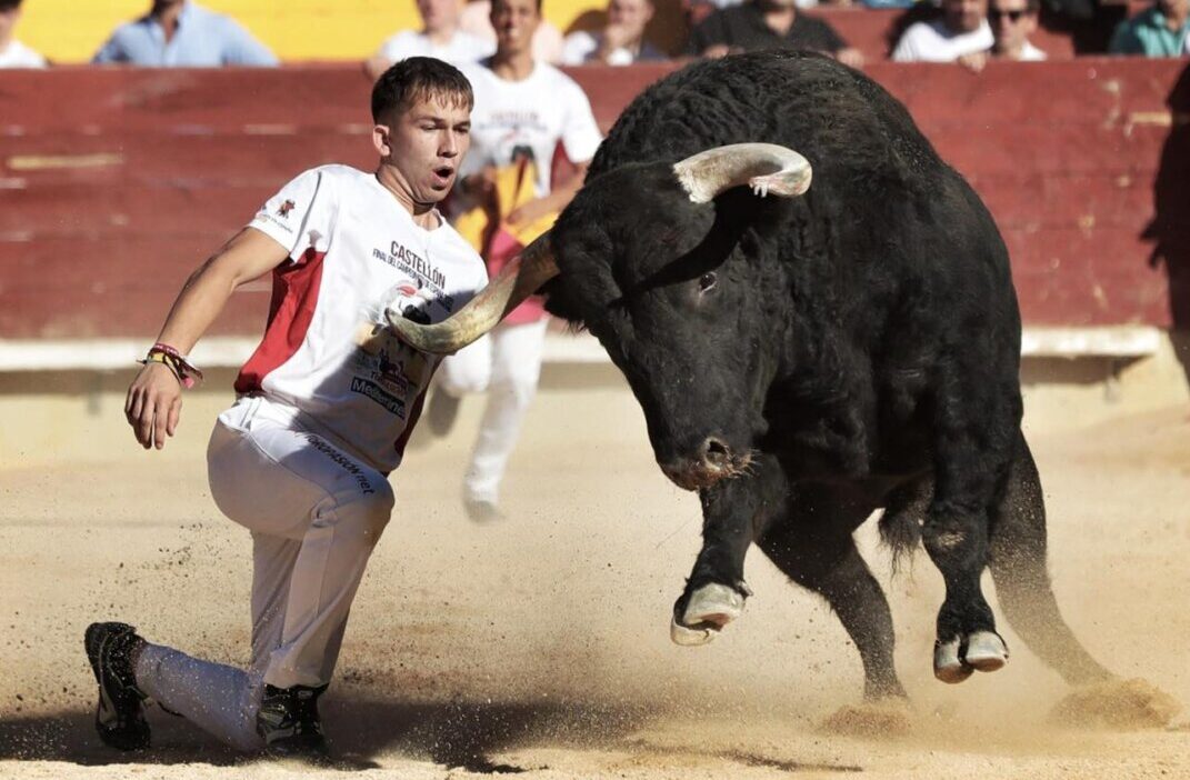 Javier Hernándiz, el nuevo fenómeno del recorte nacional, emociona en Castellón