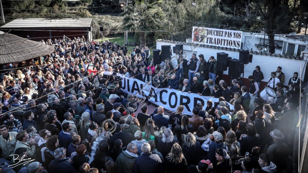 Hay que despolitizar el toreo