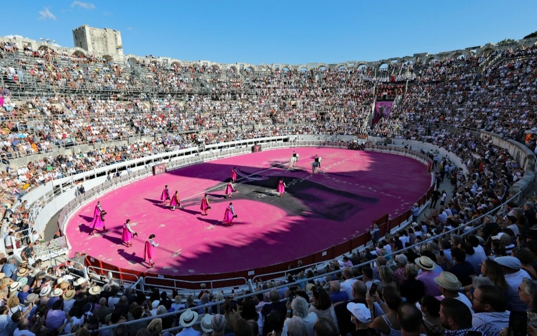 "La democracia habló: la corrida de toros es y seguirá siendo legítima en Francia"