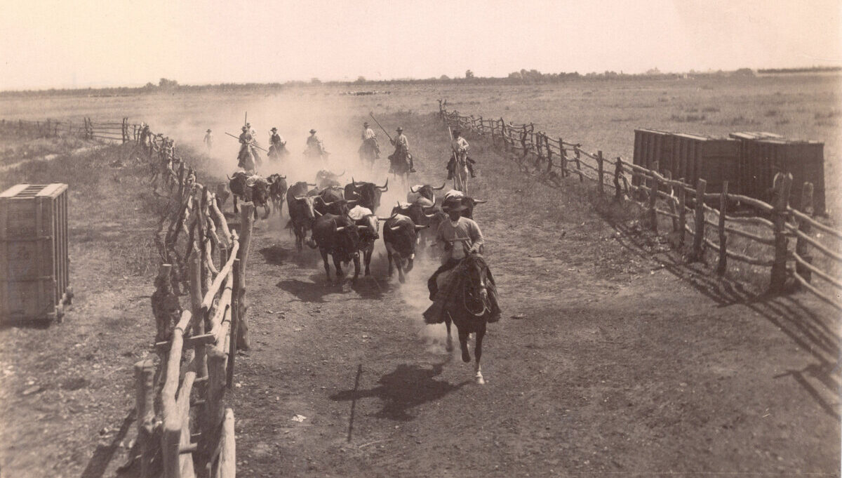Miura y Joselito, nuevas joyas de la exposición virtual de los Museos Estatales