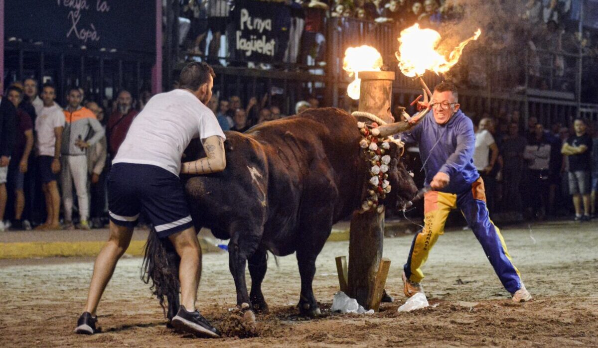 Adiós al problema de los seguros en el bou al carrer: sanidad asumirá los costes