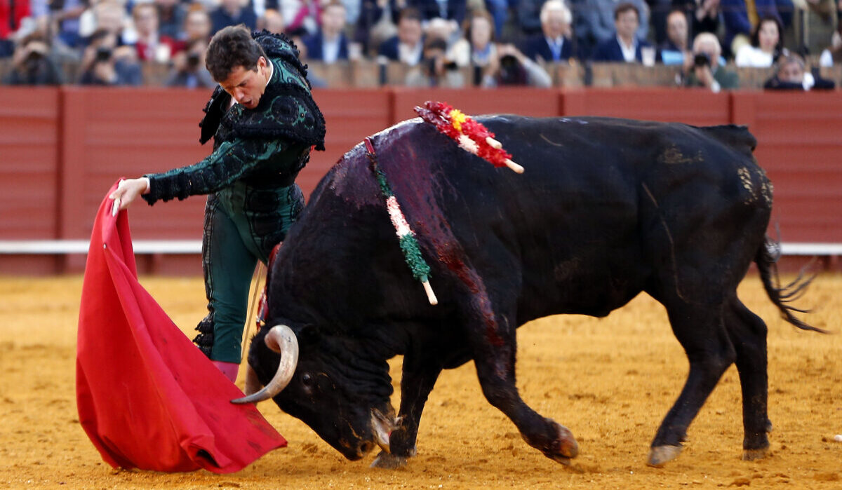Daniel Luque incorpora a un picador de dinastía en su cuadrilla