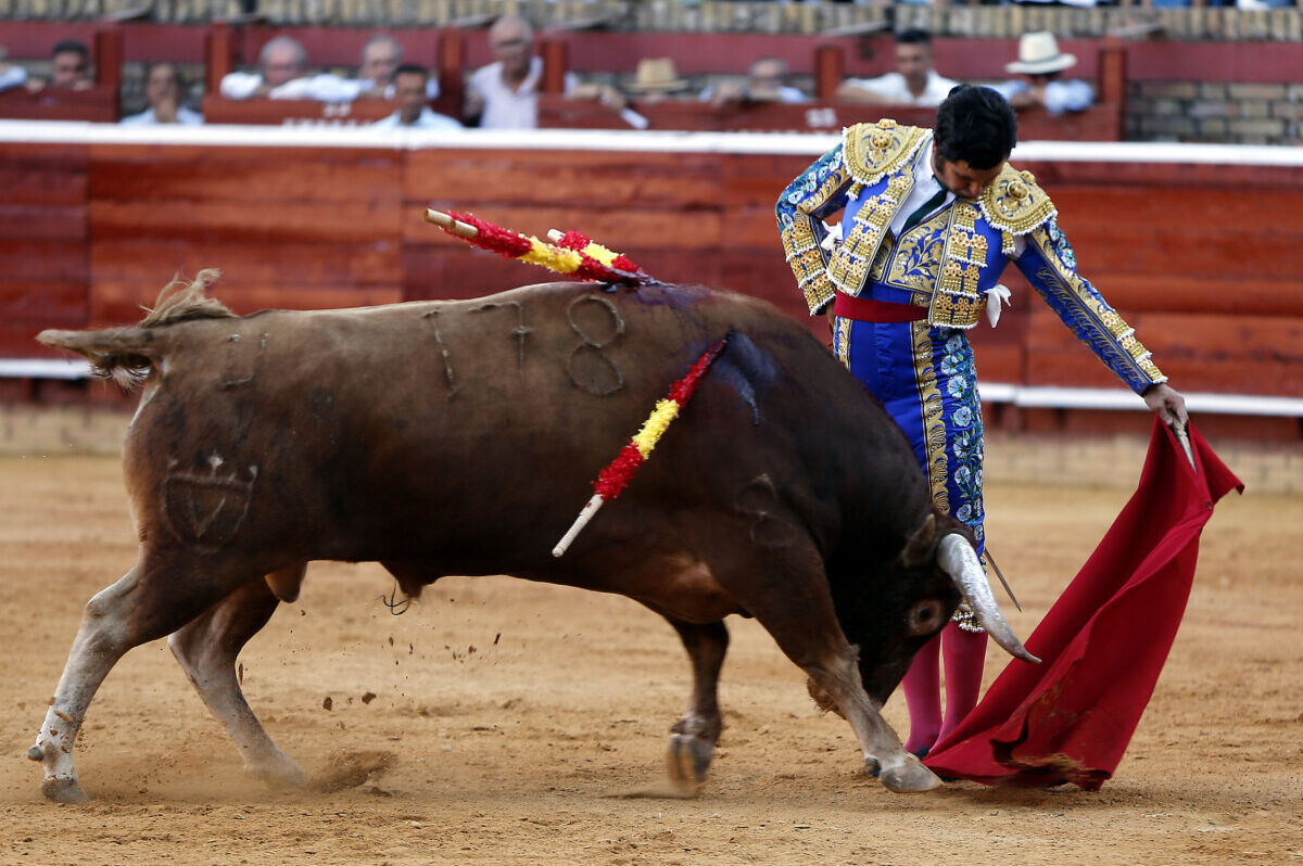 "Hay una realidad insoslayable: para torear bien hay que ser muy valiente" 