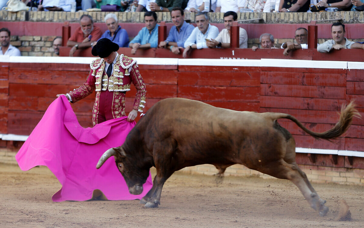 Daniel Luque, un año sobresaliente