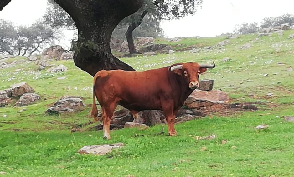 La borrasca Efraín, un drama para la ciudad y una bendición para el campo