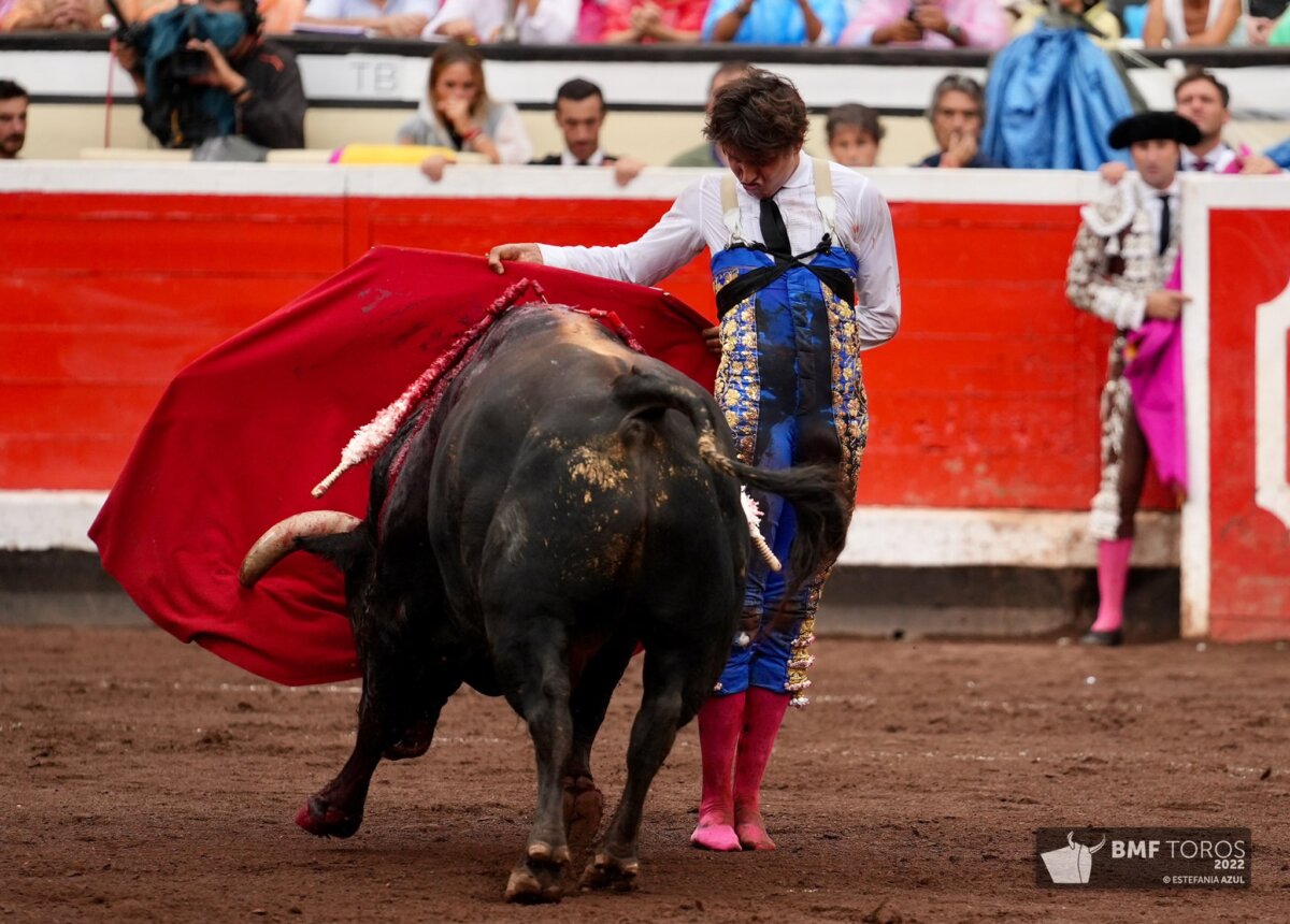 “Para salvar la Fiesta hay que abaratar las entradas y generar emoción”