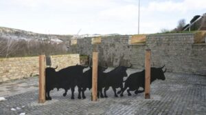 Foto: Cristina Núñez Baquedano