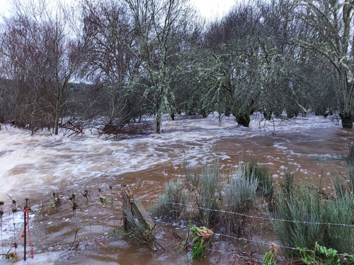 El Campo Charro se inunda