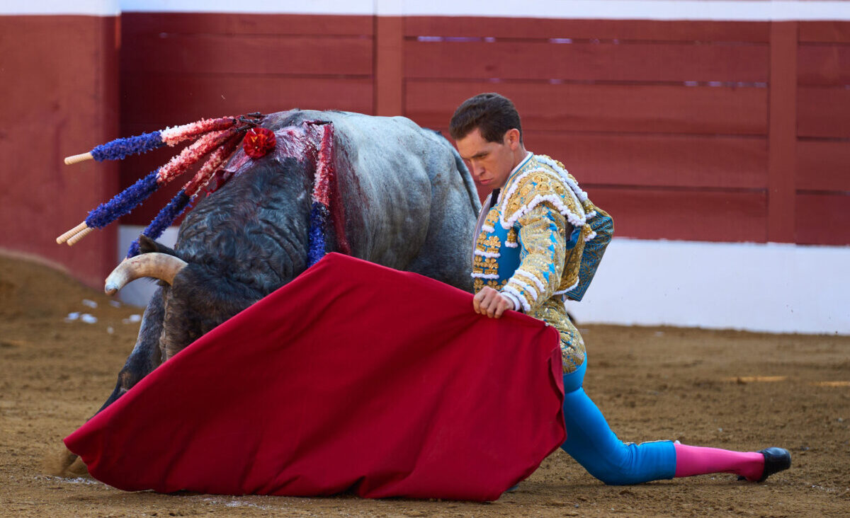 Ginés Marín, ¿el tapado?