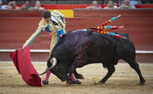 Ginés Marín, en Valencia.