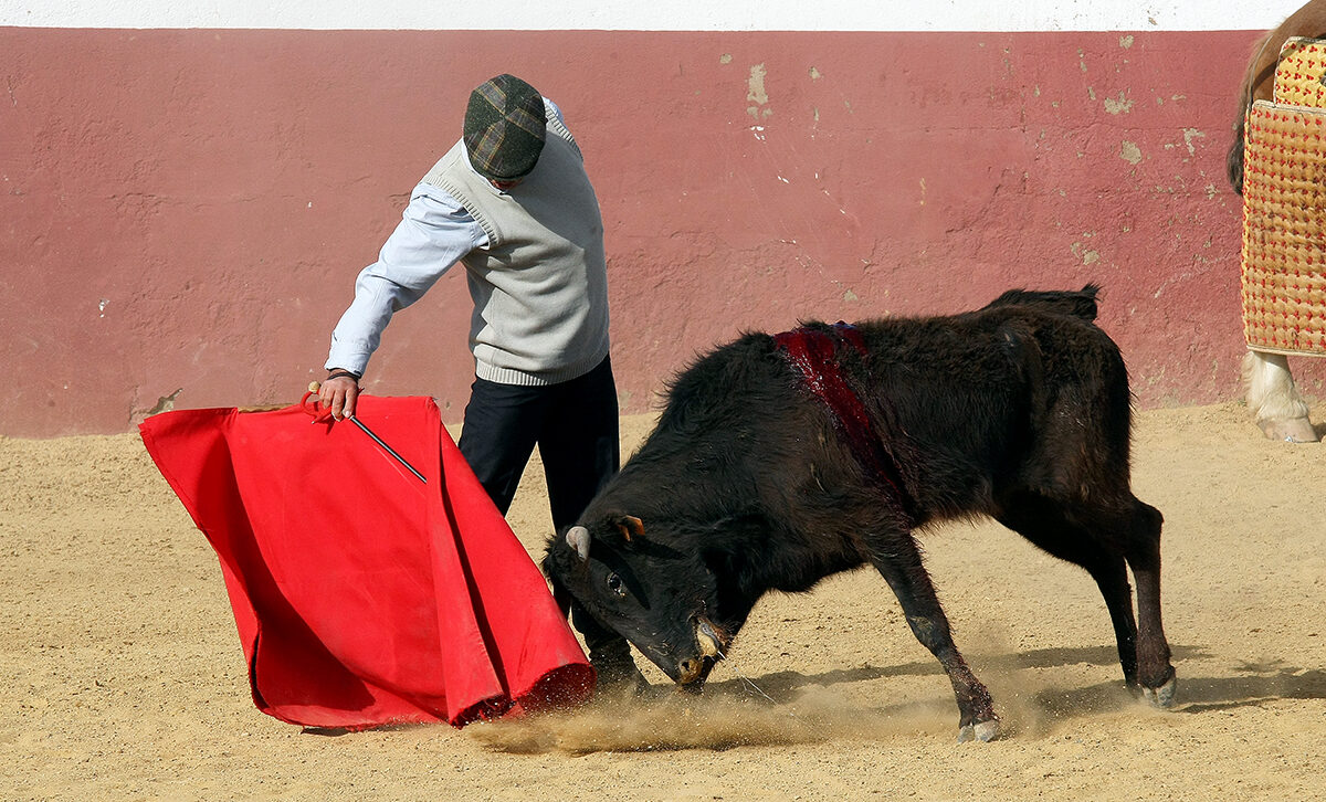 Luis Reina: "Soy como un coche de época, no me tienen que cambiar ni el motor ni las bielas"