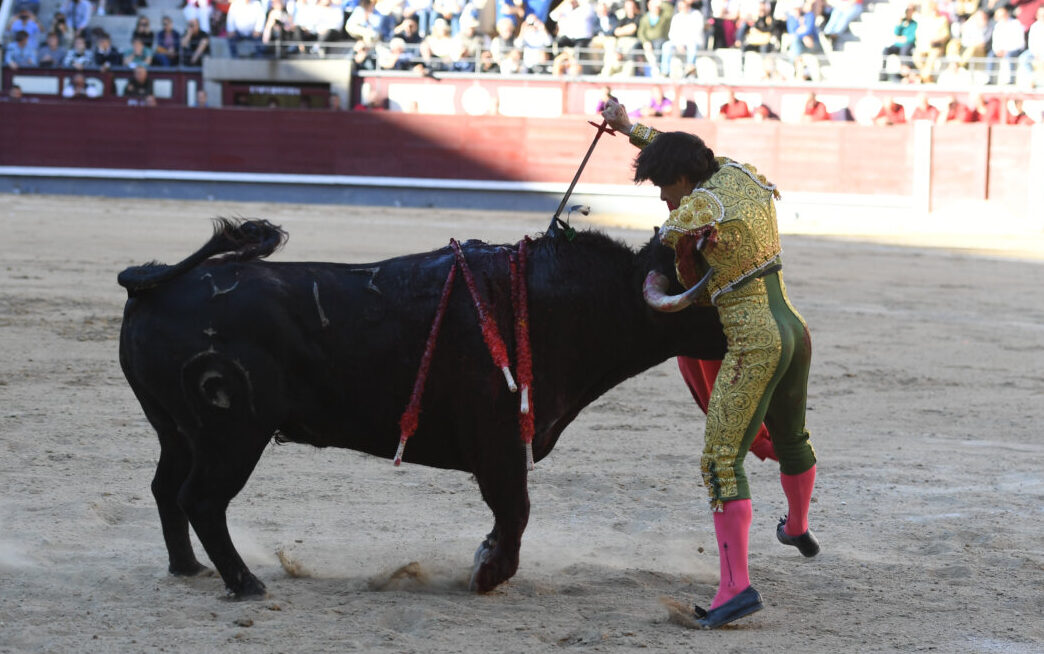 Así fue la cogida a Álvaro Alarcón. Foto: Javier Arroyo