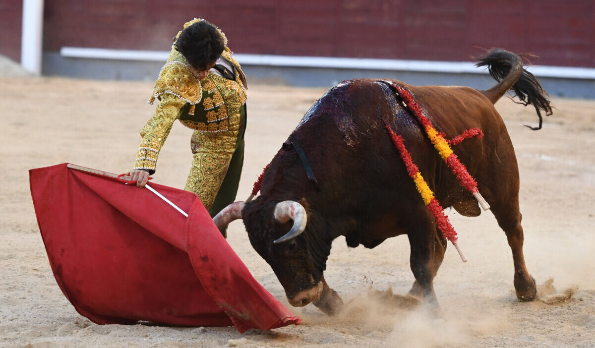 Álvaro Alarcón, preparado para la alternativa, primera sensación de Las Ventas