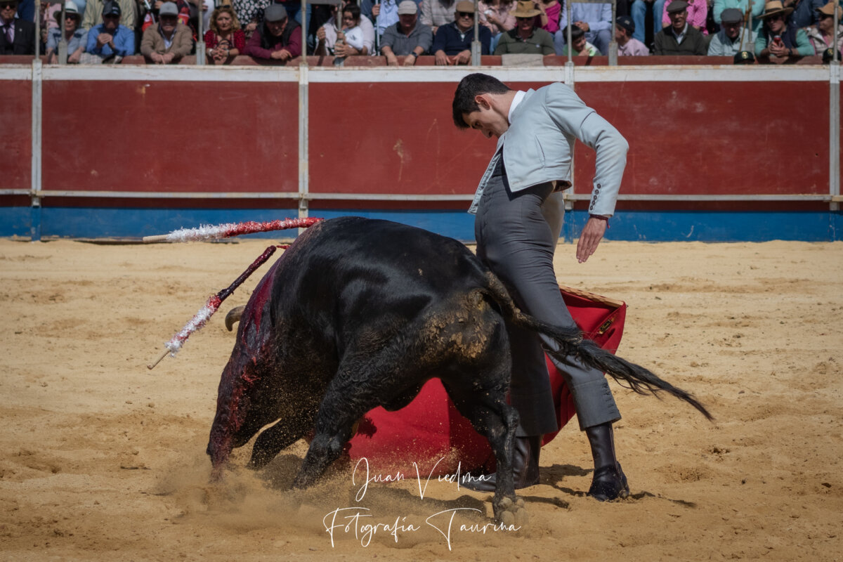 Variado cartel para el festival de Alcalá de los Gazules