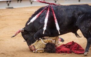 Foto: Manolo Navarro / Toros Castellón