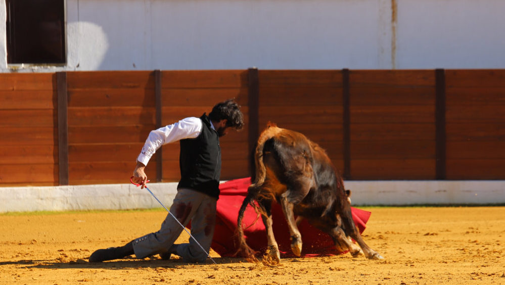 Cayetano y Ginés Marín: ¡fuego a las Fallas!