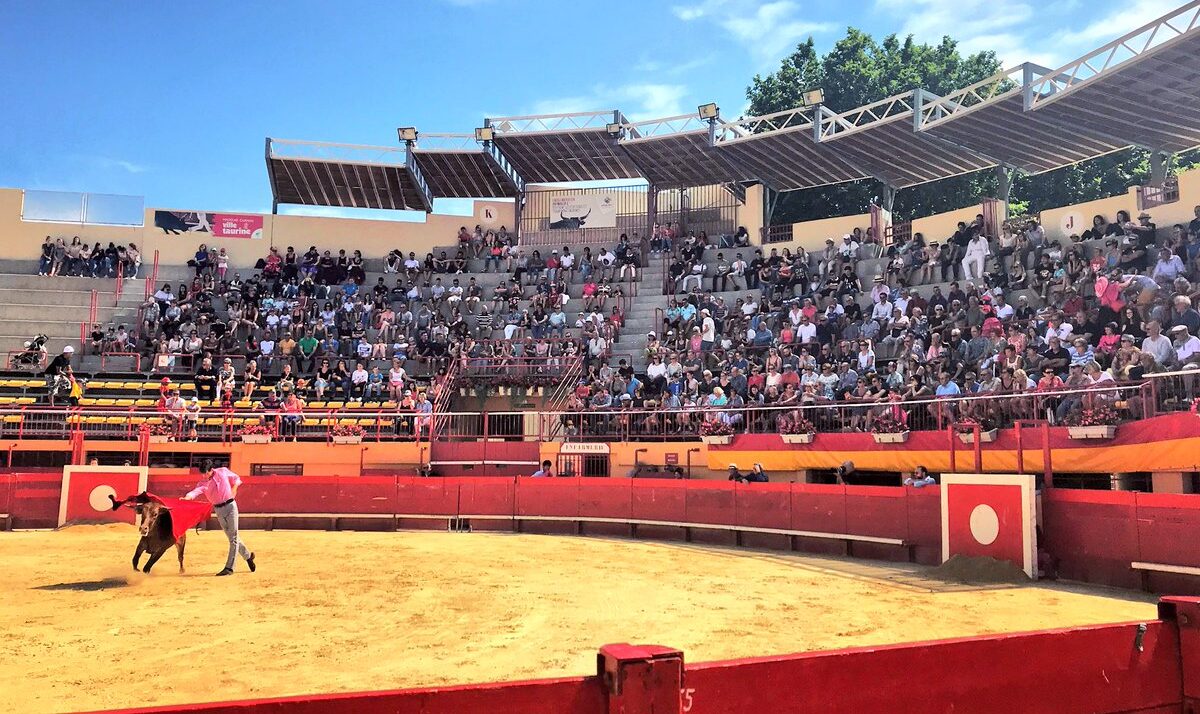 Mauguio, con cartel para la reapertura de su plaza el próximo 3 de junio