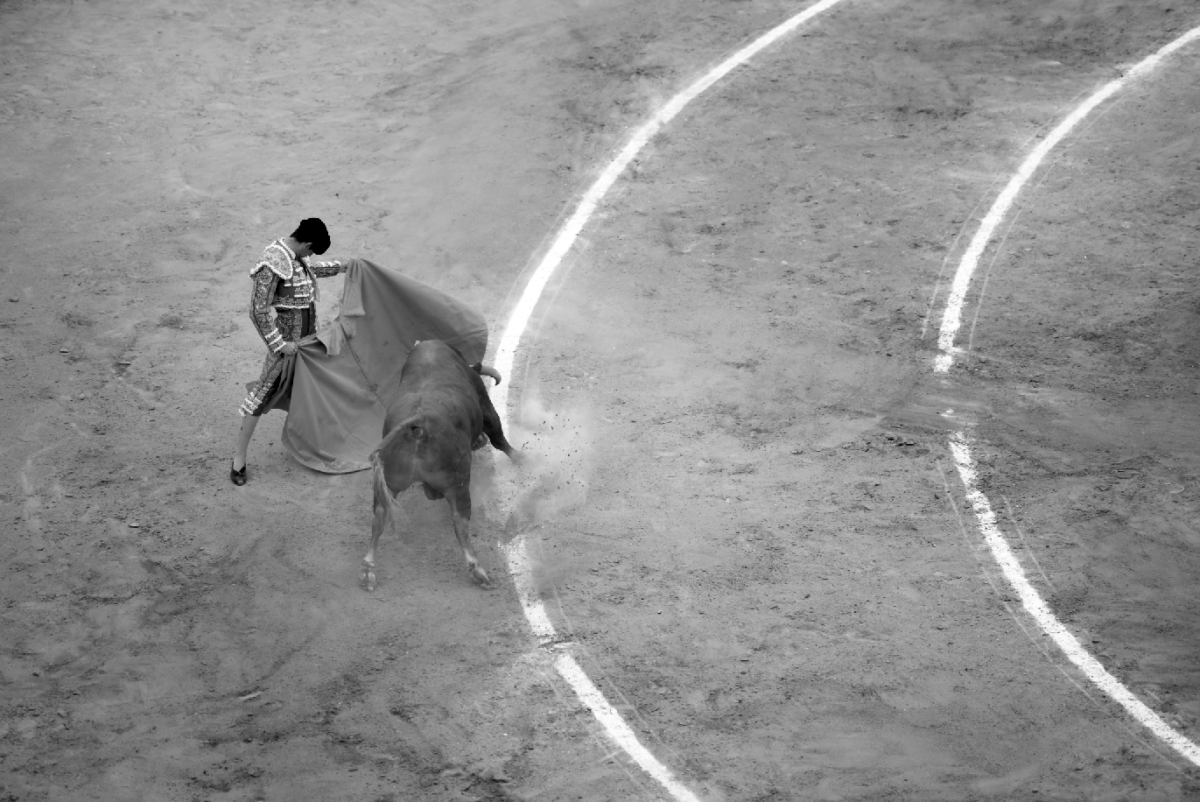 Del campo a la plaza, un día de toros en Valencia