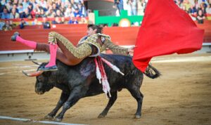 Foto: Vicent Canelles