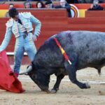 Luque, con la corrida de Victorino en las Fallas de 2023. Foto: Antonio Vigueras