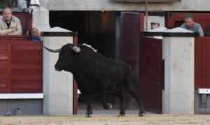 Fotos: Javier Arroyo