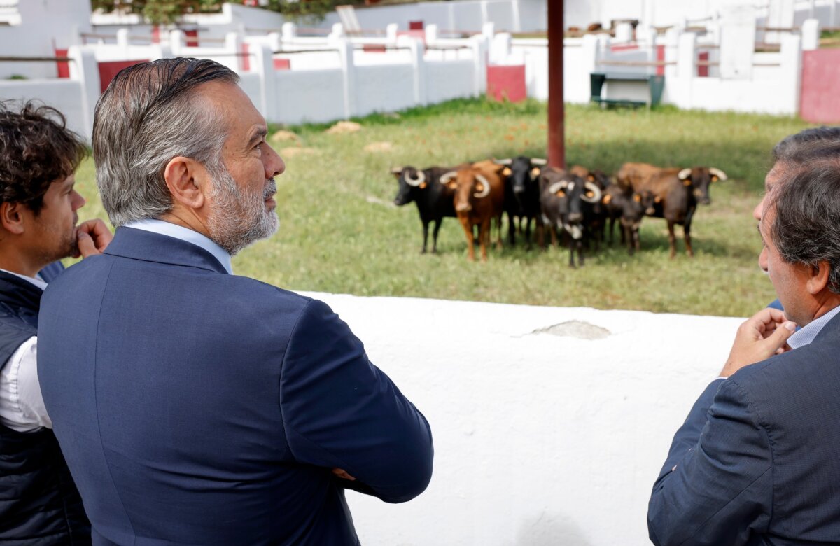 La Comunidad de Madrid estrena en la Venta del Batán la I Feria de Ganaderías de reses bravas