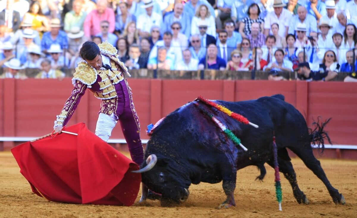 Filósofo, de Olga Jiménez, designado mejor toro de la feria de Sevilla por el Colegio de Veterinarios