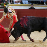 Tristán Barroso, con un ibán en la novillada de 2023. Foto: Roland Costedoat