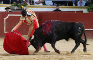 Tristán Barroso, con un ibán en la novillada de 2023. Foto: Roland Costedoat