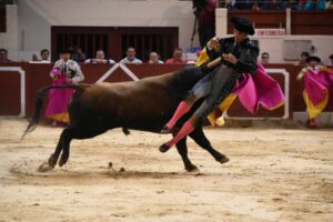 Foto: Isabelle Dupin