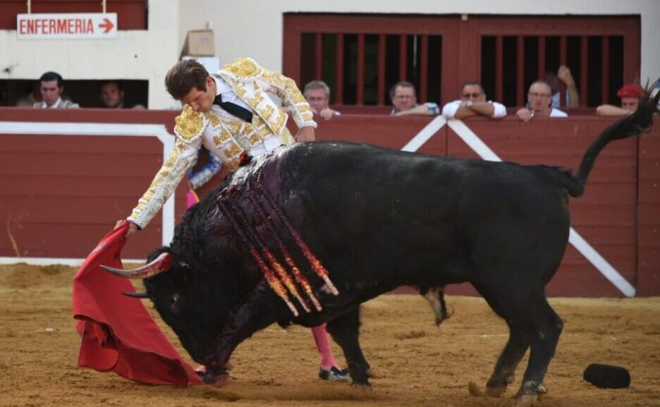 Tarde de valientes ante los de Dolores Aguirre en Vic-Fezensac
