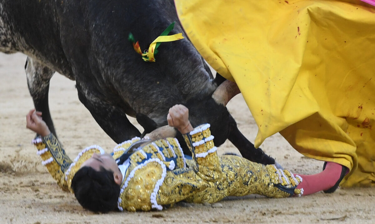 Durísima cogida a Mario Navas en Las Ventas