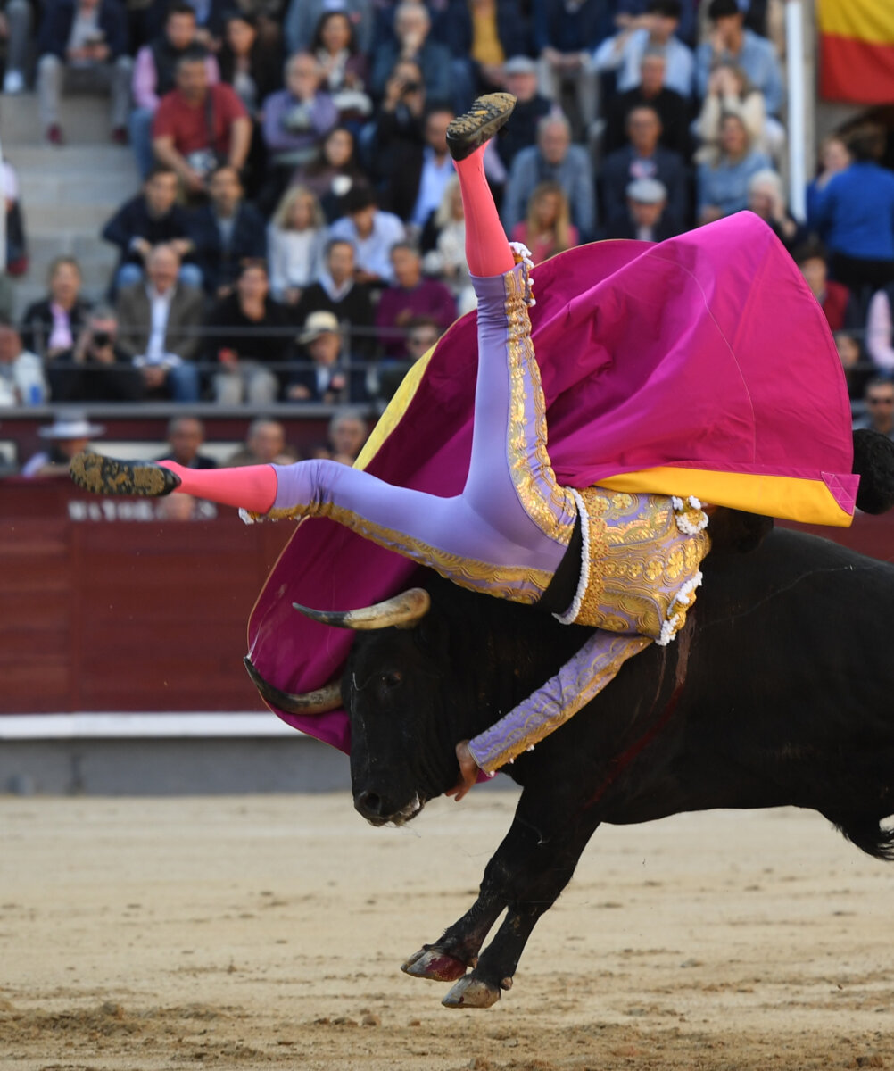 Fea cogida de Ángel Téllez en Las Ventas