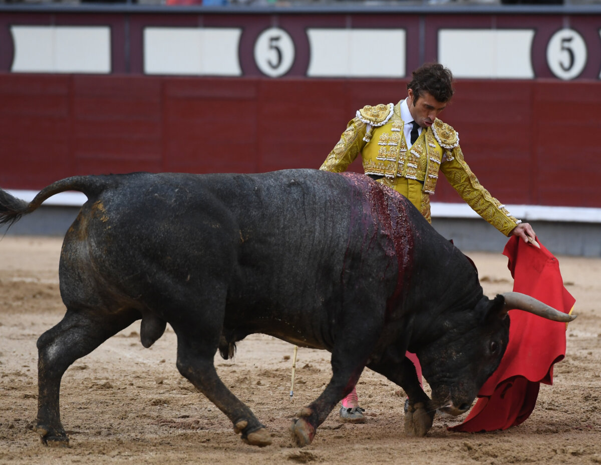 Un gran Robleño enloquece a Madrid al natural