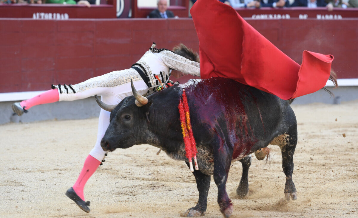 Christian Parejo, un volteretón en su debut en Las Ventas