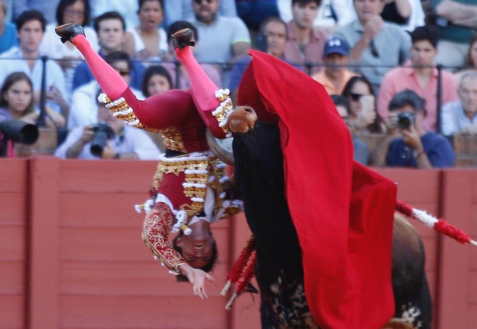 Marcos Linares, herido de gravedad a nivel de Triángulo de Scarpa en Sevilla