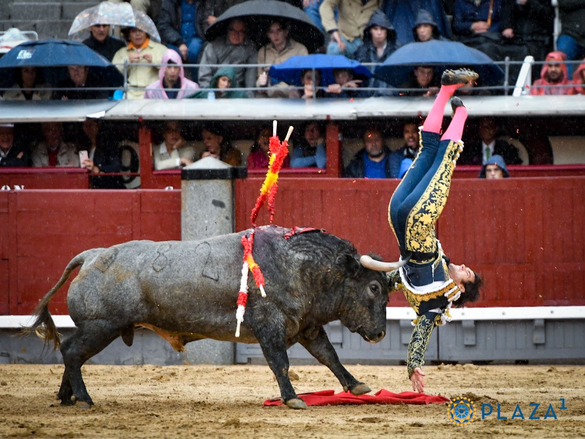 José Garrido, "cornada de 15 centímetros en cara posterior del muslo derecho que alcanza nervio ciático"