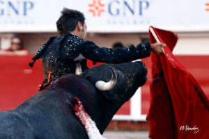 Momento de la cogida a Arturo Macías en Aguascalientes. Foto: Emilio Méndez
