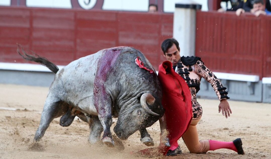 Oreja para Gómez del Pilar de un gran Cartelero de Escolar en Madrid