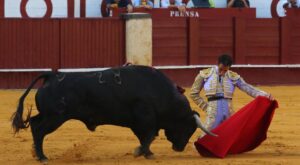 Fortes, en un pasaje de su última actuación en solitario. Fue en Málaga, en 2017.