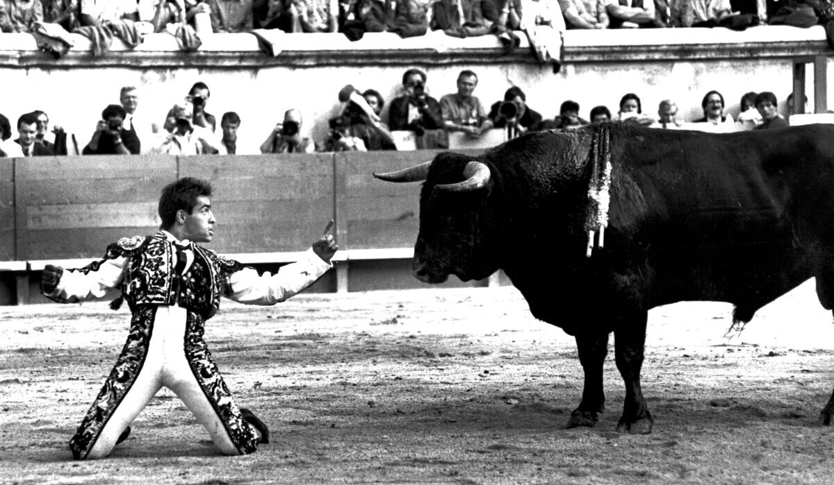 Chamaco regresa a su reino