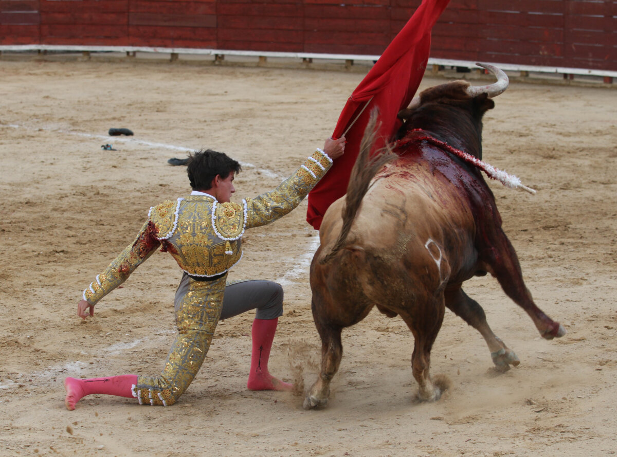 Anunciados los carteles de la feria de El Boalo