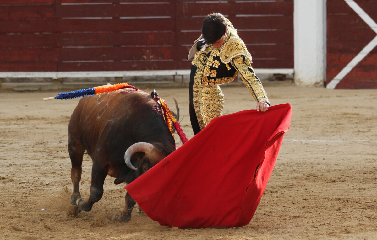 Nek Romero, alboroto y triunfo en Casas Ibáñez