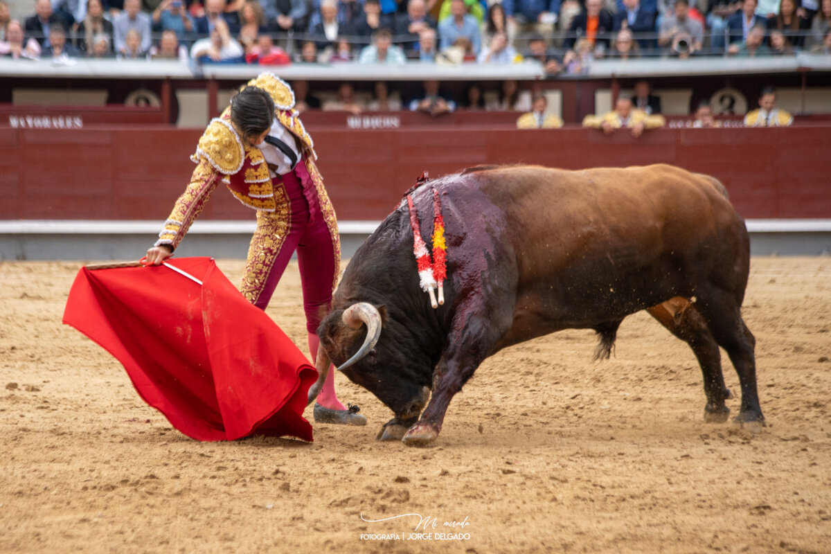 Recital capotero de Aguado y gran actitud de De Manuel en Madrid
