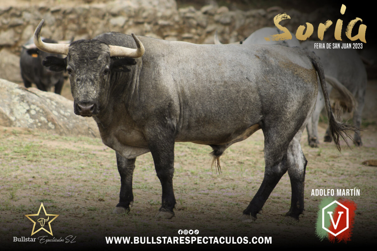 Los toros de Adolfo Martín para Soria