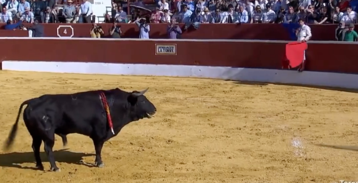 Juan del Álamo y su novedosa forma de matar subido al estribo